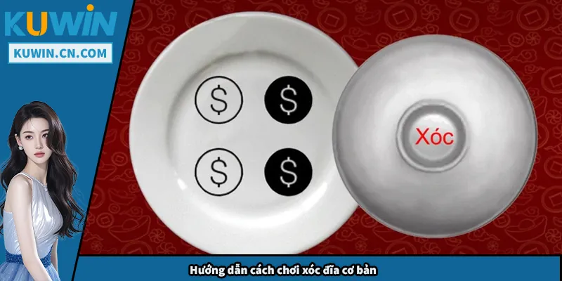 Xóc Đĩa – Top Các Mẹo Chơi Hiệu Quả Giúp Bạn Chiến Thắng Hướng dẫn cách chơi xóc đĩa cơ bản