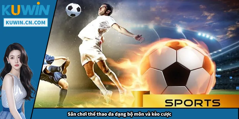 Sân chơi thể thao đa dạng bộ môn và kèo cược