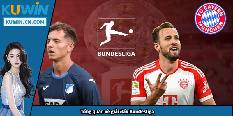 Soi Kèo Bundesliga - Nguồn Gốc, Đặc Điểm Và Kinh Nghiệm Tổng quan về giải đấu Bundesliga