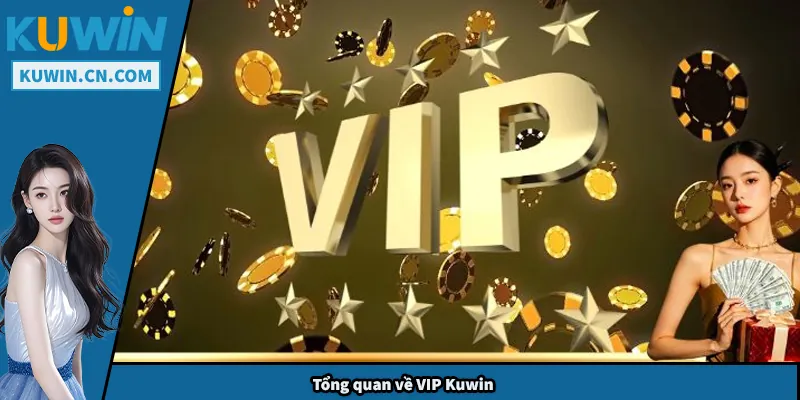 Tổng quan về VIP Kuwin